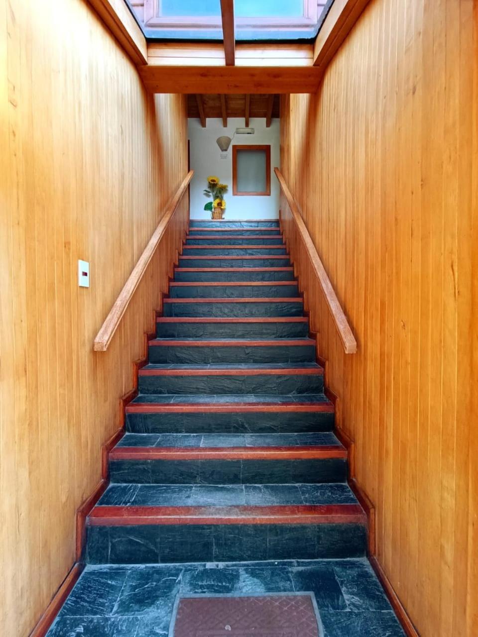 Apart Hotel Del Pellin San Martín de los Andes Eksteriør billede